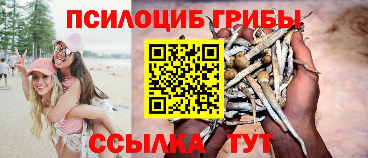 Псилоцибиновые грибы ЛСД Сосновый Бор